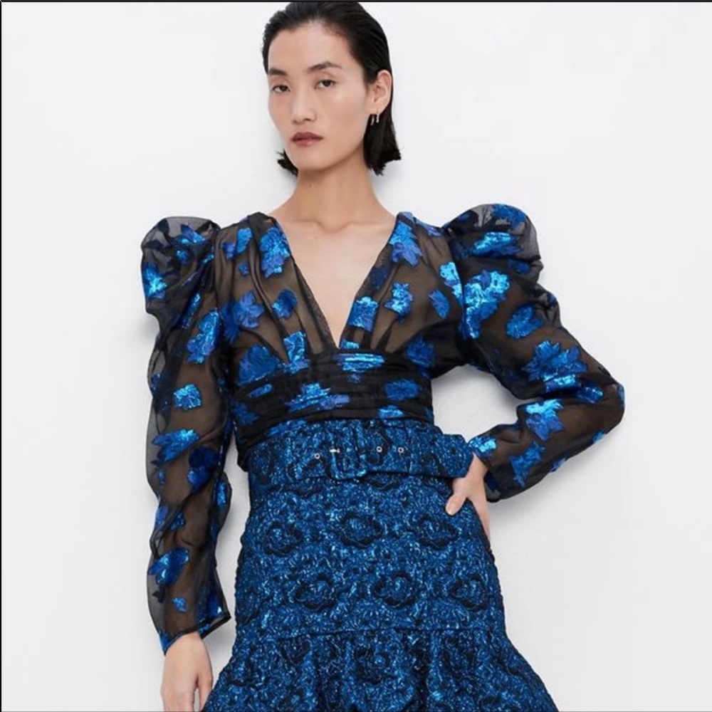 Zara NWT Organza Metallic Sheer Floral Blouse